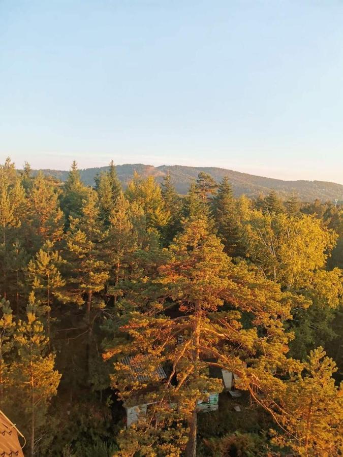 Divcibare Planinski Mir A19 Esterno foto