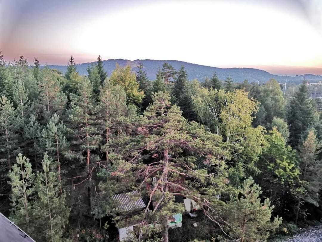 Divcibare Planinski Mir A19 Esterno foto